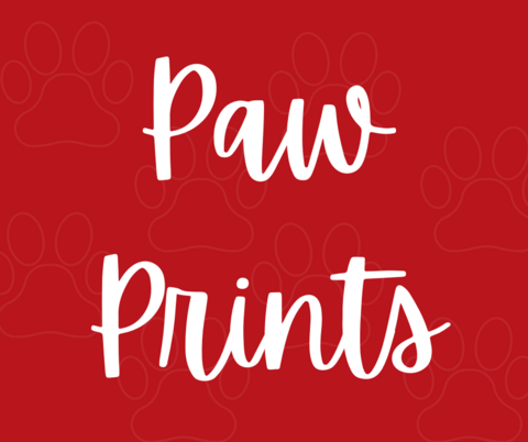 PAW Prints