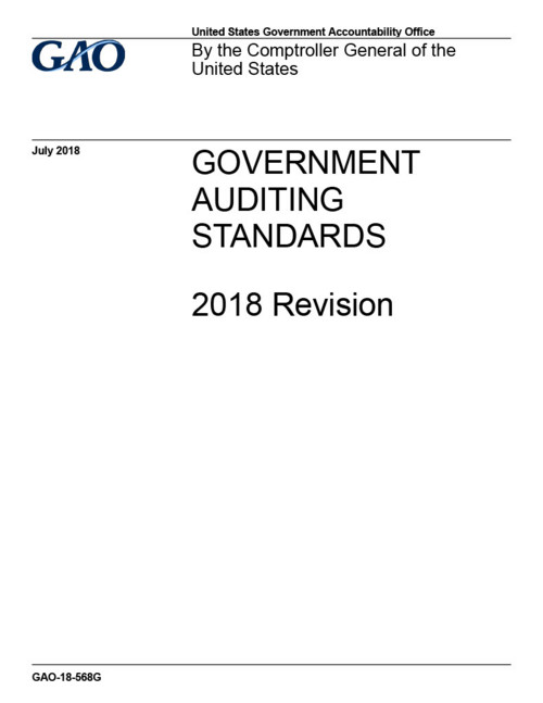 Go to US Comptroller General Audit Standards